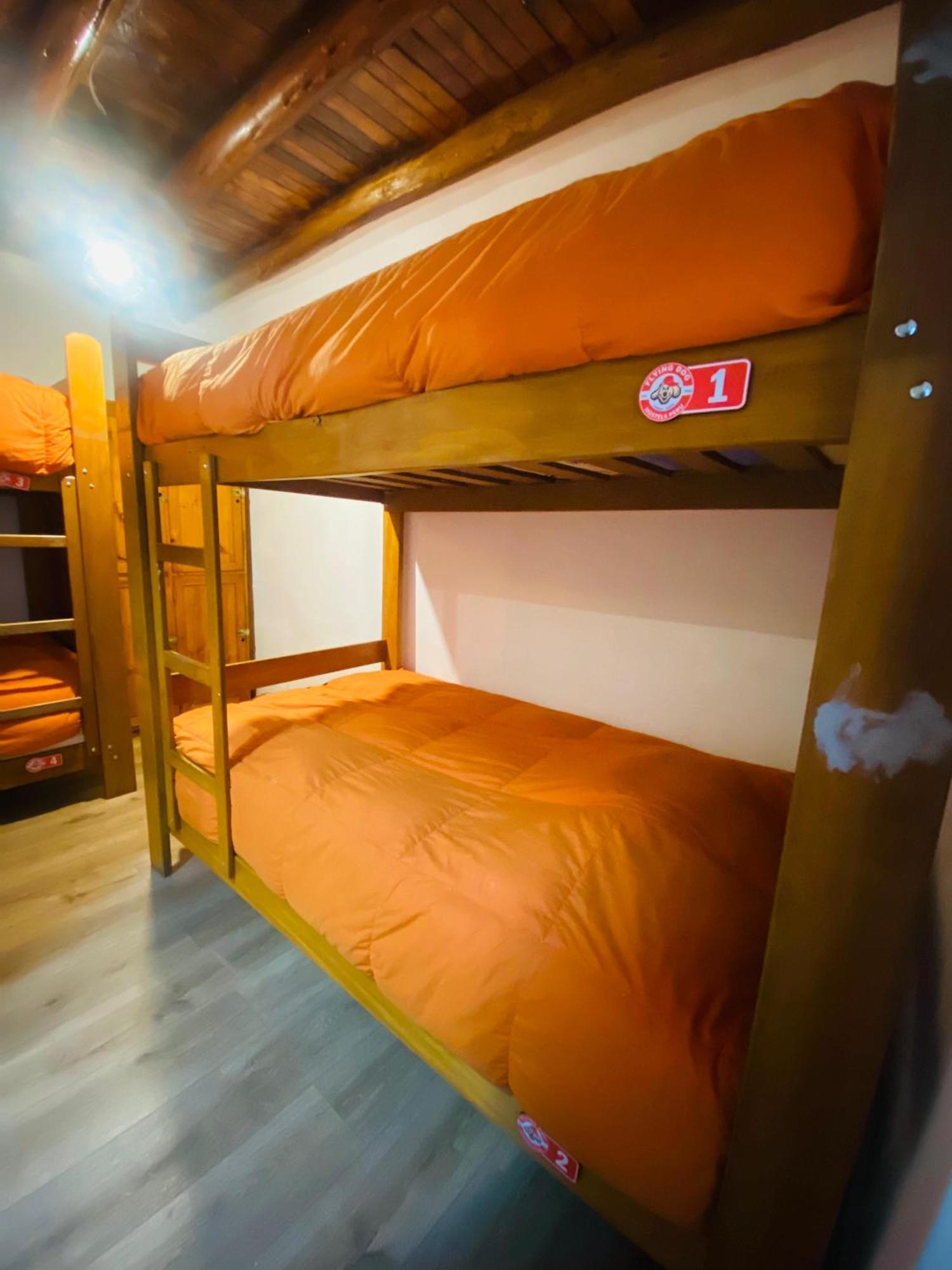 Flying Dog Hostel Куско Екстер'єр фото